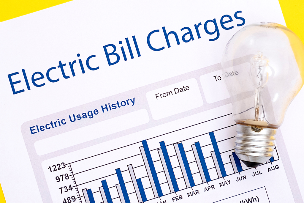 How can I check my electricity consumption and bill history?